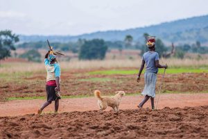 Target Beneficiaries