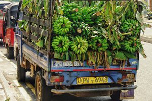 Market Linkages & Export Support